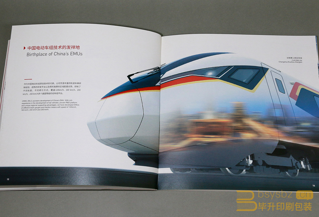 藝術(shù)紙畫冊印刷 藝術(shù)紙畫冊印刷