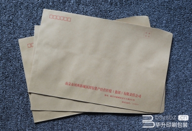 南京河西發(fā)改委信封、國家標準信封